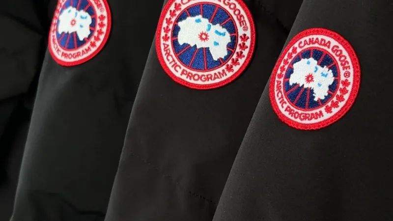 カナダグースダウン